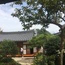 마당예쁜집 이미지