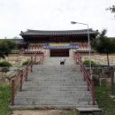 도선동천 이미지