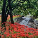 산호동209 이미지