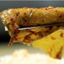 영덕농산 이미지