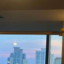 와우휘트니스 이미지