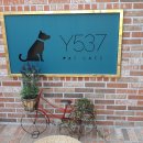 Y537호텔 티스토리