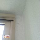 동탄바이오 이미지