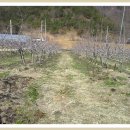 엘림농장 이미지