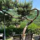 다산식자재마트 수동점