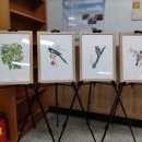 봉양도서관 이미지