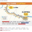 [러닝일기] 나의 첫 하프, 2026 제23회 태화강 국제마라톤대회 후기