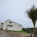 단별장 | 독채펜션, 전체적으로 조용하고 프라이빗 한 제주 독채펜션을 원하시는 분들께 잘 어울리는 곳 '단별장'