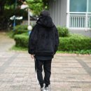 포그니코리아 이미지