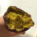 소촌로152번길R | 광주 광산구 소촌동 비비브라운빈 두쫀쿠 내돈내산 솔직후기