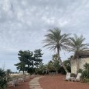 호야목장 이미지