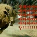공감 이미지