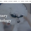 비엔동물전문의료센터 이미지