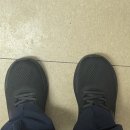 지비서포트 | [스케쳐스 고워크 스태빌리티2.0] 크록스 NO~ 편한 간호화 추천 후기