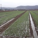 이레농장 이미지