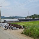 가천면사무소 앞 이미지