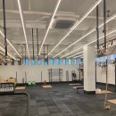 크로스핏 메이트 이미지