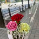 초정마을 동아아파트 앞 이미지