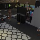 유니동물병원 이미지