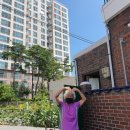 최*길 Daum카페