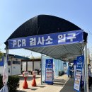 일월보건지소 | 코로나 pcr검사대상 결과시간 준비서류 by 시흥정왕선별진료소 운영시간 검사후기