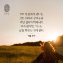 온누리영광 이미지