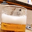 2023-0076 | 오사카 난바 모츠나베 맛집 다이고 방문 후기