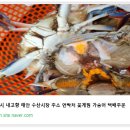 태안수산 - 미추홀구 경원대로852번길 16 | 태안수산