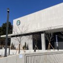 거제-사등-사등-비상-12 | 경남 베이커리 스벅 거제 사등 스타벅스 평일 방문 후기, 베이커리 메뉴 추천 주문팁