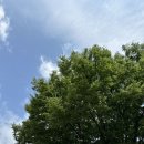 남문시장약국 이미지