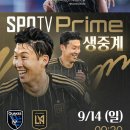 애플과 쿠팡에 맞서는 스포티비.jpg 이미지