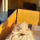 입석1길 이미지