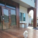 명월성 돌담집 이미지