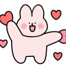 진성애견용품 이미지