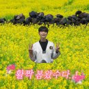 동탄 청계 위너태권도장 | [동탄 청계 위너태권도] 활짝! 봄왔수다! 봄 소풍!