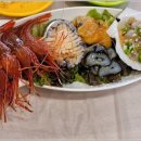 독도회센타 이미지