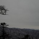 지곡산장 이미지