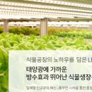 그린몰기술