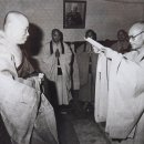 녹원약국 이미지