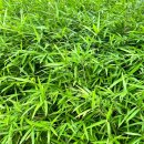 탐정행정사사무소 이미지