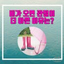 광혜병원 이미지