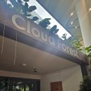 더베이(THE BAY) | [싱가포르 여행] 가든스 바이 더 베이(Gardens by the bay) - 클라우드 포레스트:쥬라기 월드ㆍ플라워...