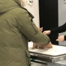 소망 동물병원 이미지