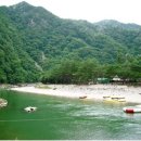 리버힐즈 캠핑장(푸른농원) | 강원 영월군 주천강 상류 주변의 리버힐즈오토캠핑장