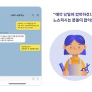 원애견샵 이미지