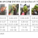 배·복숭아 꽃 피는 시기, 평년보다 2일~5일 빠를 듯 이미지