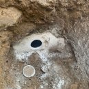 코아&2060 이미지