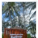 정은농장 | 푸꾸옥 베스트웨스턴 빈대 x 온가족 힐링한 이야기