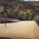 도기온 (doggyon) 이미지