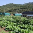 여울농장2 이미지